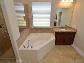 4 Florentino Vine Place, The Woodlands TX 77354