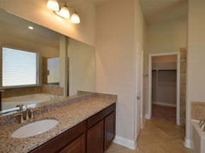 4 Florentino Vine Place, The Woodlands TX 77354