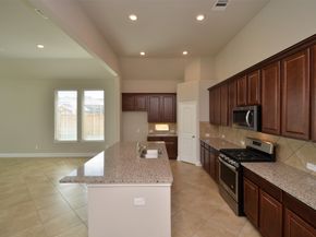 4 Florentino Vine Place, The Woodlands TX 77354