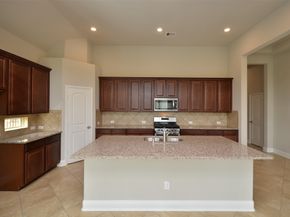 4 Florentino Vine Place, The Woodlands TX 77354