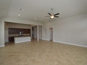 4 Florentino Vine Place, The Woodlands TX 77354