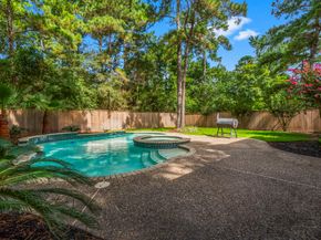 170 Linton Downs Place, The Woodlands TX 77382