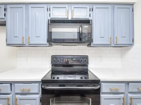 10378 Briar Forest Drive 32/5, Houston TX 77042