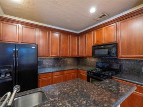 1717 Aden Mist Drive, Houston TX 77003