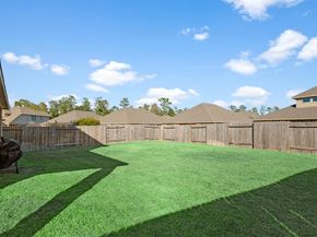 28109 Steepleridge Court, Spring TX 77386