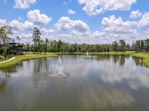 226 Skybranch Court, Conroe TX 77304