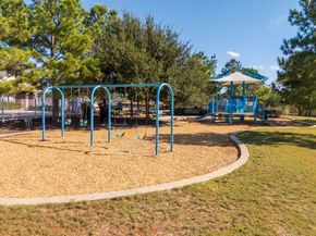 12298 Little Blue Heron Lane, Conroe TX 77304