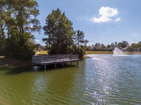 12298 Little Blue Heron Lane, Conroe TX 77304