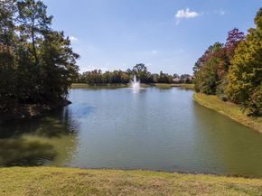 12298 Little Blue Heron Lane, Conroe TX 77304