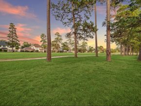 7903 Palmer Place Lane, Humble TX 77346