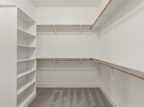 8819 Hollister Pine Court, Houston TX 77080