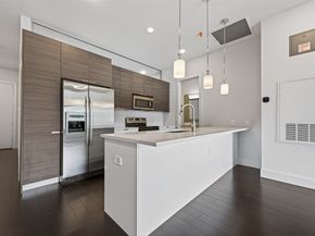 207 Pierce Street 307, Houston TX 77002