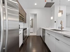 207 Pierce Street 307, Houston TX 77002