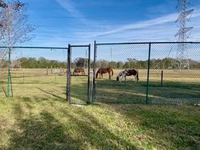 10303 Greenwillow Drive, Houston TX 77035