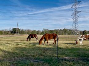 10303 Greenwillow Drive, Houston TX 77035