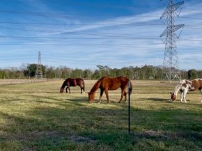 10303 Greenwillow Drive, Houston TX 77035