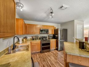 17526 Hoover Gardens Drive, Houston TX 77095