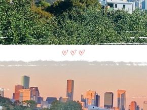 2334 Camden Drive, Houston TX 77021