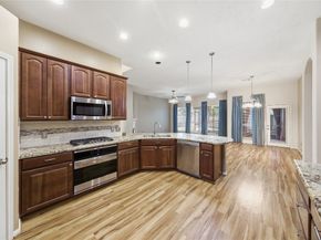 13515 Sand Mountain Lane, Houston TX 77044