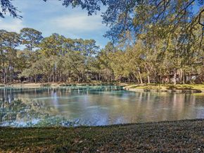 259 Litchfield Lane 66, Houston TX 77024