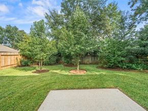 10 Orchid Grove Place, The Woodlands TX 77385