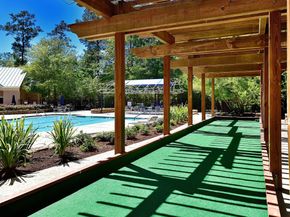 146 E Northcastle Circle, The Woodlands TX 77384