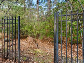 146 E Northcastle Circle, The Woodlands TX 77384