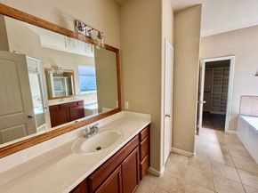 170 Black Swan Place, The Woodlands TX 77354