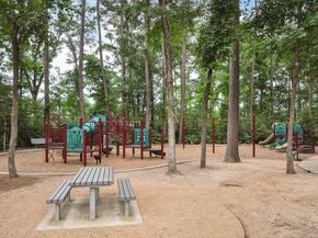 170 Black Swan Place, The Woodlands TX 77354