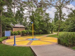 170 Black Swan Place, The Woodlands TX 77354