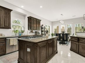 6007 N Ossineke Drive, Spring TX 77386