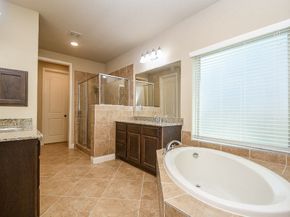 3923 Birch Vale Lane, Sugar Land TX 77479