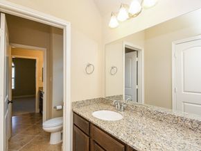 3923 Birch Vale Lane, Sugar Land TX 77479