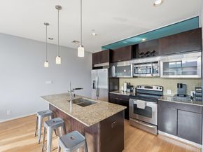 1406 Columbus Street 206, Houston TX 77019