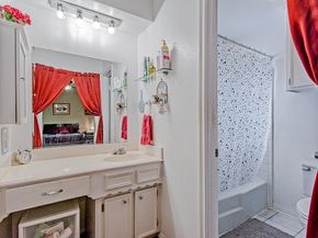 16306 Hollow Wood Drive, Houston TX 77090