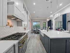206 Bauer Point Court, The Woodlands TX 77389