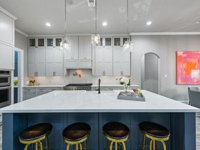 206 Bauer Point Court, The Woodlands TX 77389