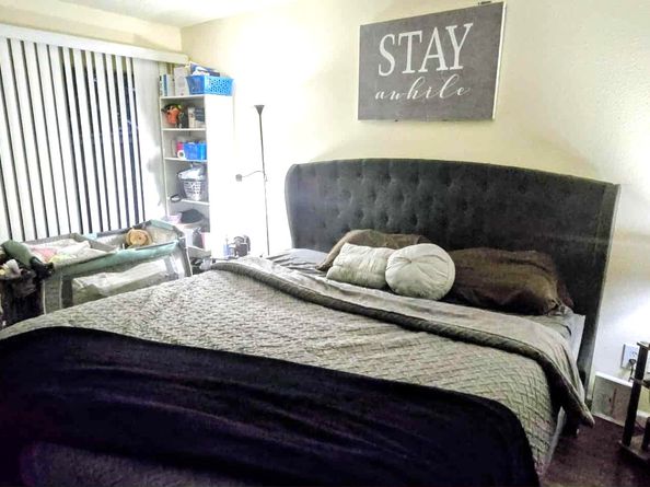 6317 Peacock Hills Drive, Houston TX 77035