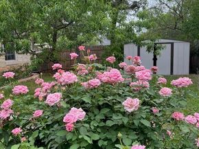 20638 Highland Lake DR, Lago Vista TX 78645