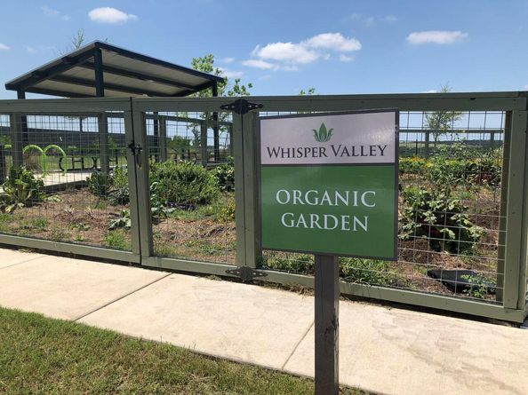 9809 Petrichor BLVD, Manor TX 78653