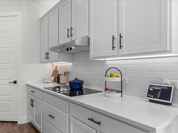 9809 Petrichor BLVD, Manor TX 78653