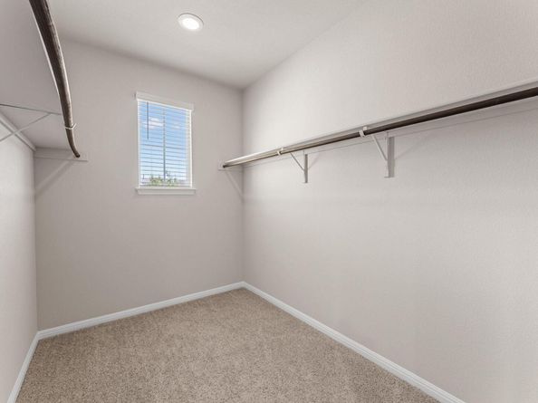 14601 Frankel LOOP, Pflugerville TX 78660