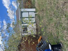 2505 Cypress LN, Cedar Park TX 78613