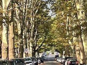 15743 27th Avenue, Flushing NY 11354