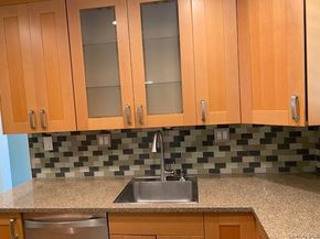 263-17 74th Avenue E2, Glen Oaks NY 11004