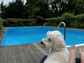 15 Walnut Avenue, East Quogue NY 11942