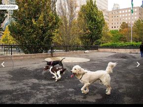 250 South End Avenue 5D, New York NY 10280