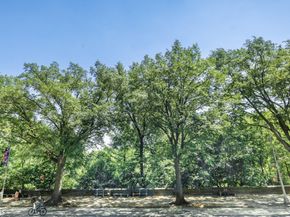 415 Central Park W 2C, New York NY 10025
