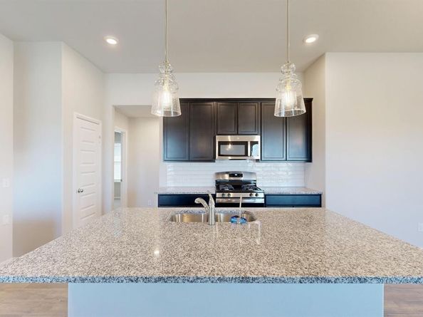 14163  Marion Downs Trail , Pilot Point Texas 76258