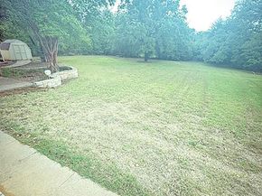 1429  Lakeshore Boulevard , Oak Point Texas 75068
